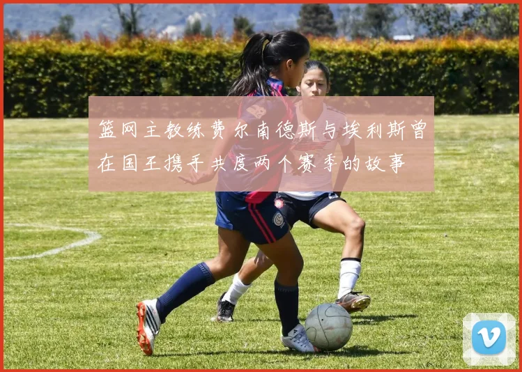 篮网主教练费尔南德斯与埃利斯曾在国王携手共度两个赛季的故事