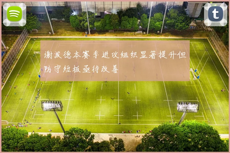 谢泼德本赛季进攻组织显著提升但防守短板亟待改善